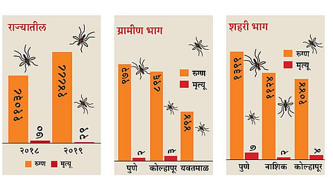 14 thousand 888 dengue patients found in maharashtra