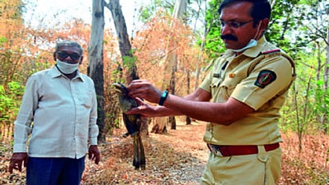 dhanesh.jpg