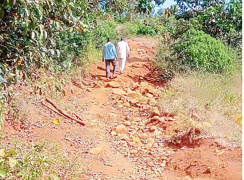  No road as there is no registration. Picture on Dhangarwada