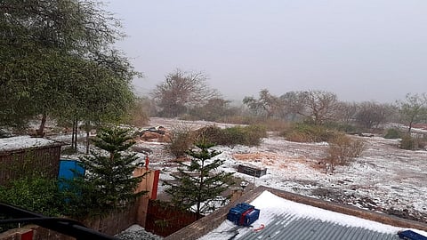 dindori paus.jpg