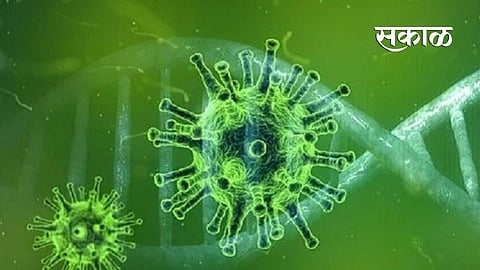 disease x virus