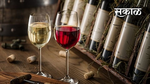 do you know these seven things about wine Marathi article