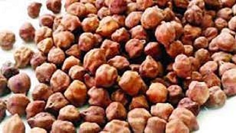 government are not buying chickpeas properly from farmers  