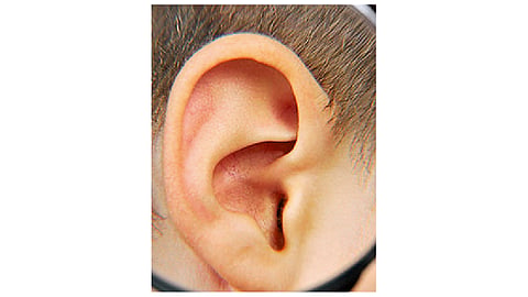 ear