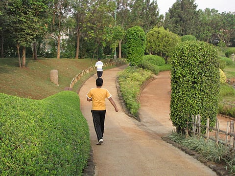 garden.jpg
