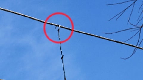 विजेचा शॉक लागून जारीकोटमध्ये सहा गुरे जागीच दगावली 