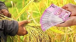 No peak debt, no debt waiver, no compensation ... BJP's agitation in the akola district