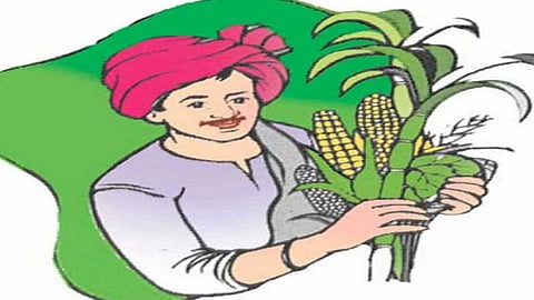 kokan student helps to farmers in ratnagiri new activity will help to develop farming in konkan