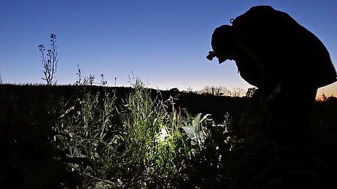 Farmers in the fields overnight for irrigation fear of attack by wildlife