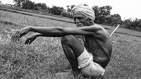 farmer_flickr.jpg