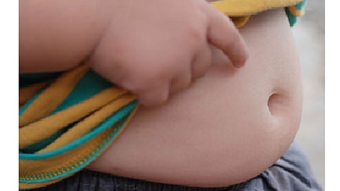 fat
