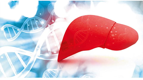 fatty liver