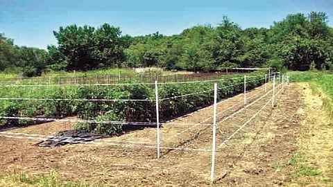 Engineers made safe Electric fencing machine in Nagpur  