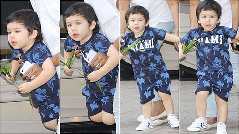 TAIMUR