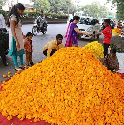 गणेशोत्सवाच्या तोंडावर फुलांचे भाव कडाडले; पिंपरी-चिंचवडमधील आजचा भाव जाणून घ्या 