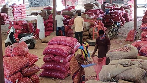 Farmers in trouble due to fall in onion prices