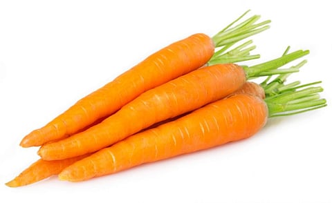 Farmers agitation led to increase in prices of carrots and peas