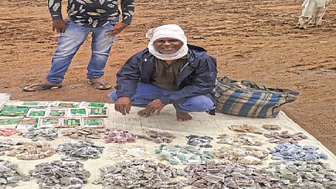 Seeds of fresh vegetables sold by sellers in market 