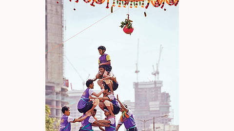 celebration of Krishna Janmashtami and Importance of govinda