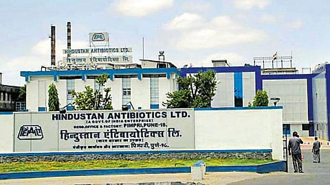 hindustan antibiotics