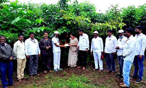 indapur.jpg