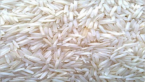 indrayani-paddy-rice-500x500.jpg