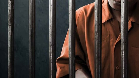 thief Arrested