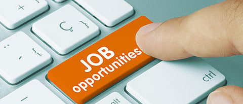 job opportunities in akola.jpg