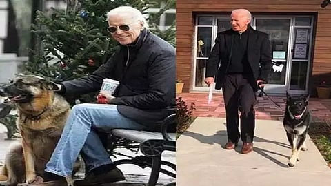joe biden