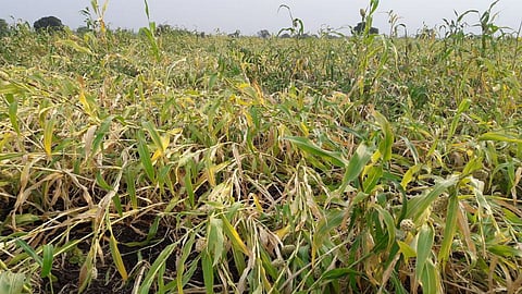 Jwar