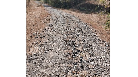 kondi.jpg