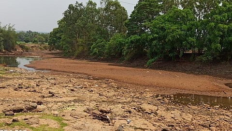 The River Basin From Kowad To Kalkundri Is Dry Kolhapur Marathi News