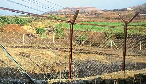 The leopard is roaming; When will the fencing work of "Sagareshwar" be done?