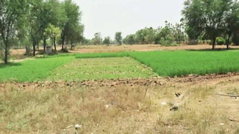 ‘टीडीआर’चे दर जमिनीशी लिंक