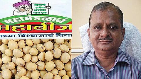 महाबीजचे सोयाबीन बियाणे बाजारात नाहीच...त्यावर कृषी विभागाने दिला हा सल्ला 