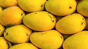 mango.jpg
