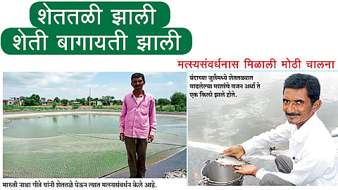 शेततळी झाली शेती बागायती झाली