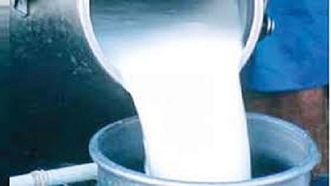 milk.jpg