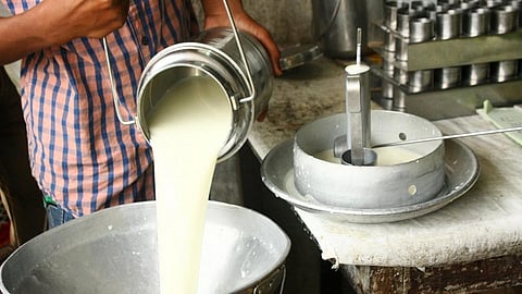 Minimum milk bill should be paid on time ... Farmers expect; effect of corona