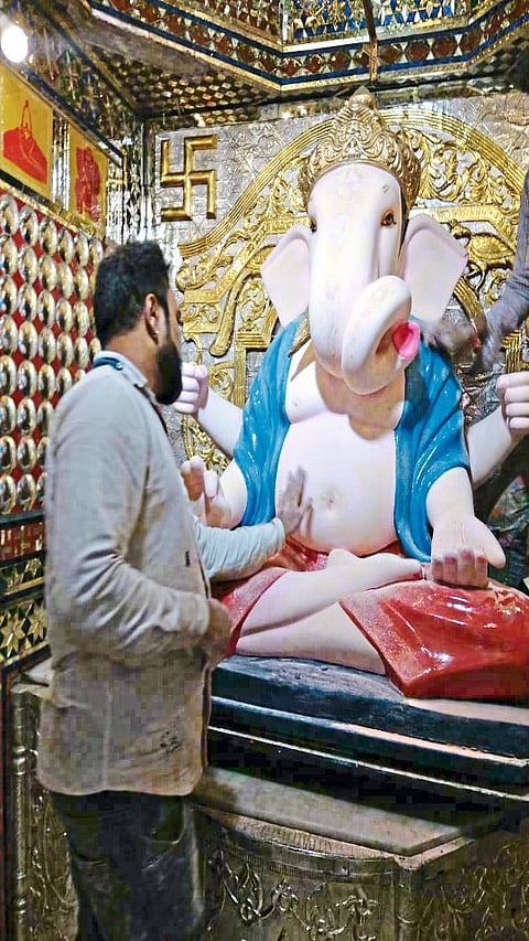 mistree14.jpg