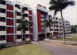 mla