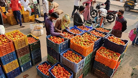 मोशी मार्केट : कांदा, बटाटा वगळता फळभाज्यांचे भाव स्थिर 