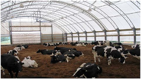now farmers will get shed for their animals 