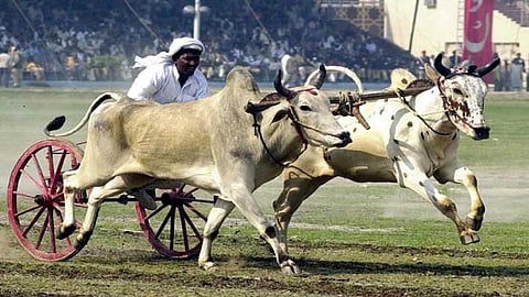 khatav