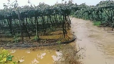 narayangaon.jpg