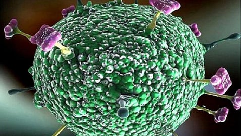 nihah virus