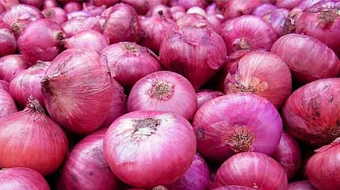 Onion Rate News