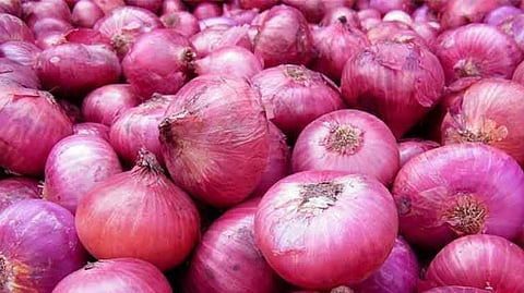 onion rate