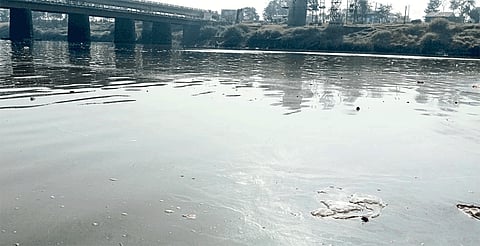 water pollution