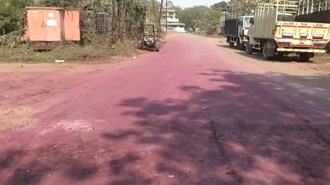 डोंबिवलीतील गुलाबी रस्त्याची मुख्यमंत्र्यांकडून पाहणी 